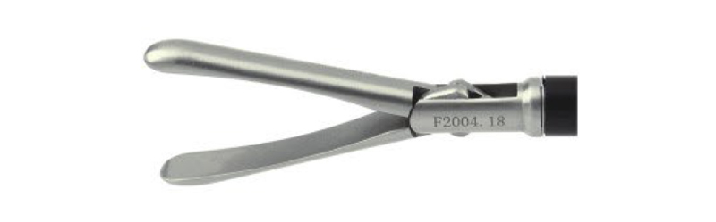 HF2004.18 Grasping,toothless