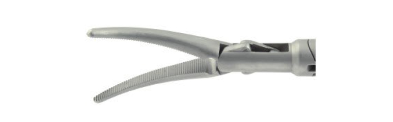 Dissecting,"Maryland",articulating